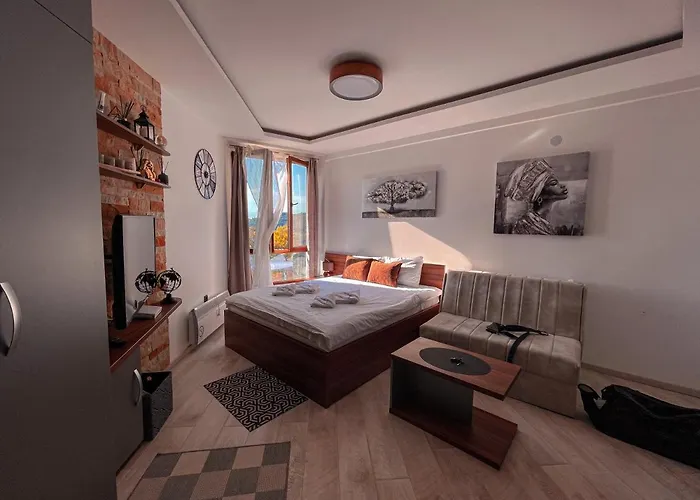 Apartman Big Milmari S19