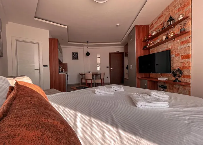 Apartman Big Milmari S19
